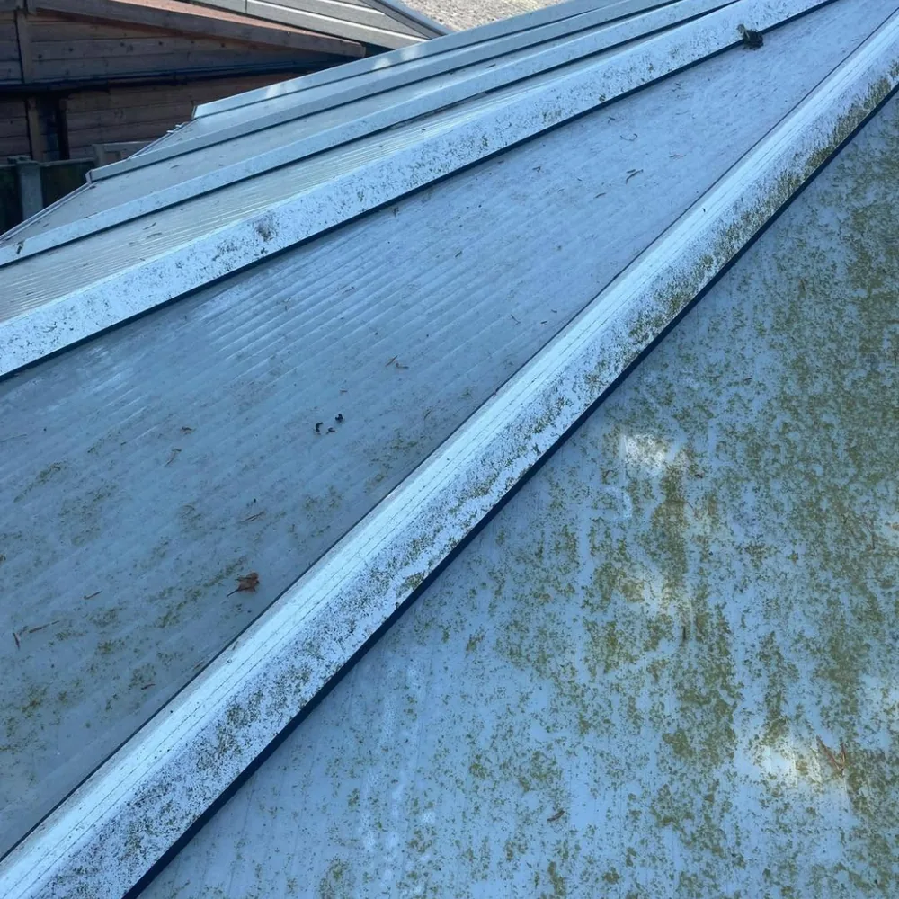 Conservatory roof cleaning example 1 before cleaning