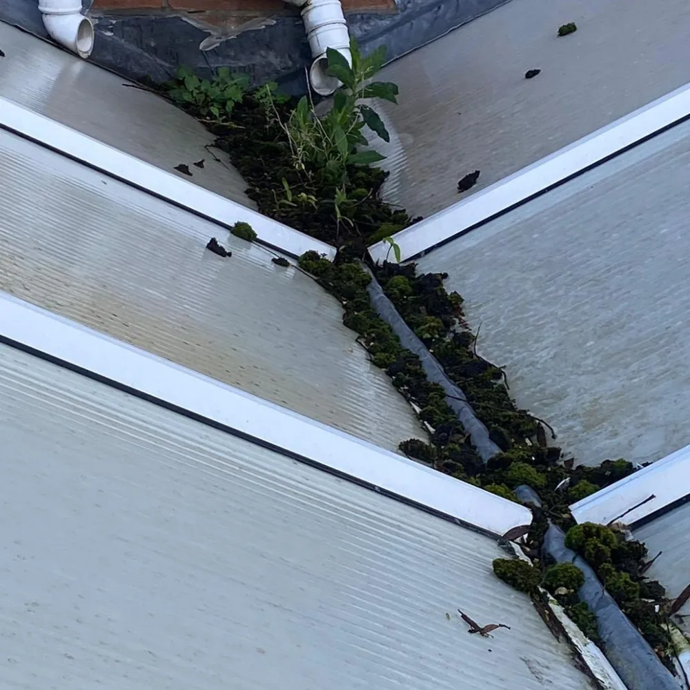 Conservatory roof cleaning example 6 before cleaning