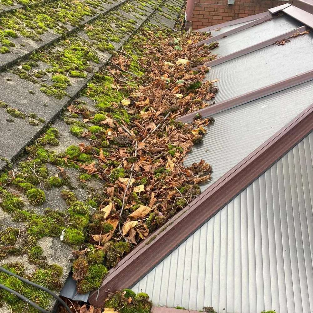 Conservatory roof cleaning before cleaning
