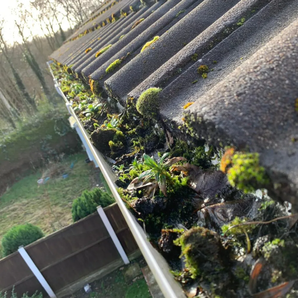Gutter vacuum clearance example 1 before cleaning