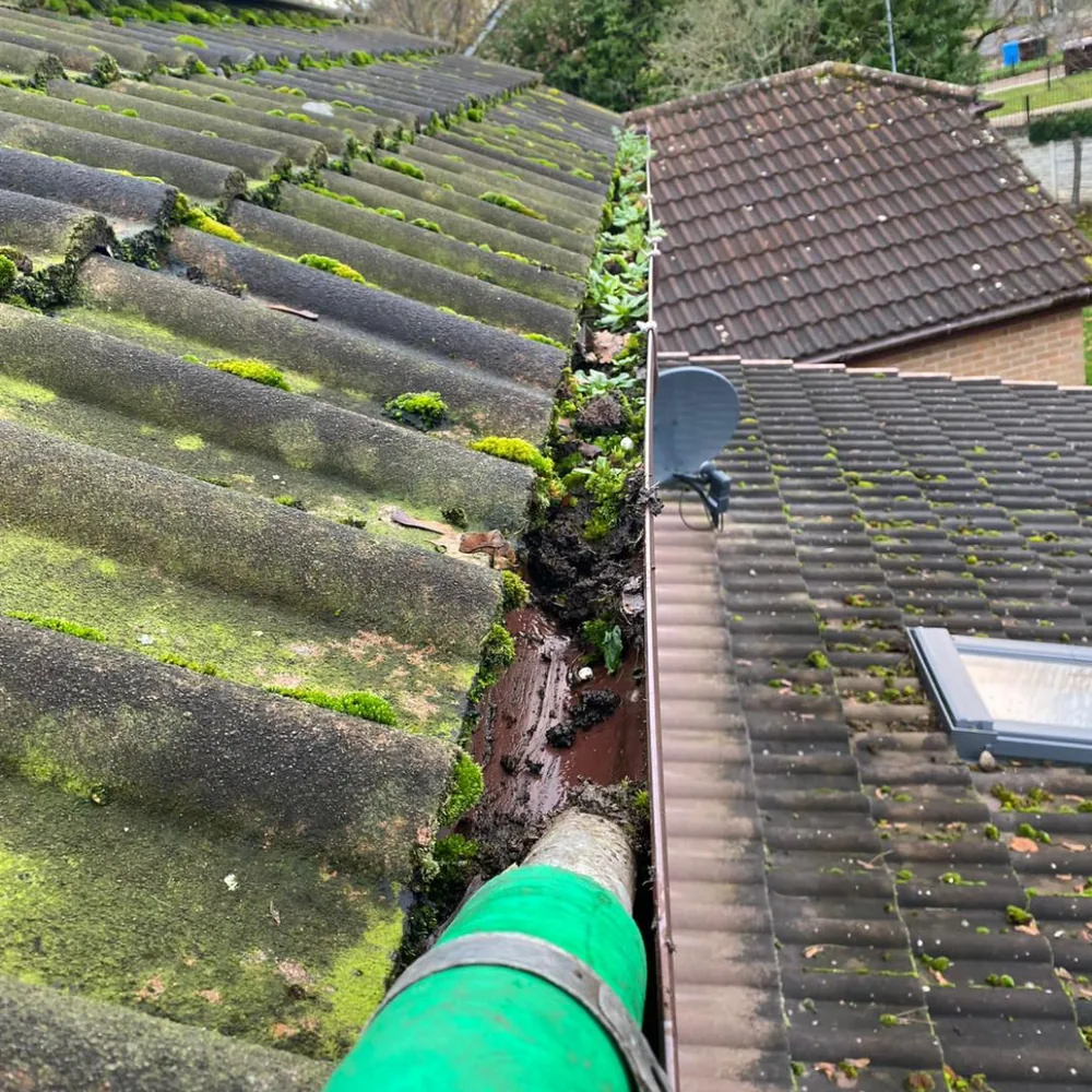 Gutter vacuum clearance example 2 before cleaning