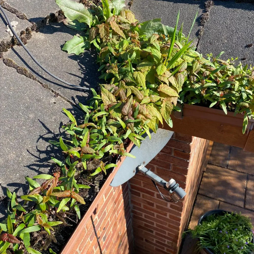 Gutter vacuum clearance example 4 before cleaning
