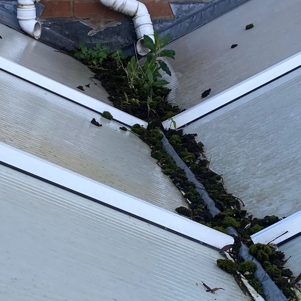 Gutter vacuum clearance example 5 before cleaning