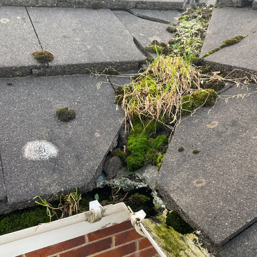Gutter vacuum clearance example 6 before cleaning