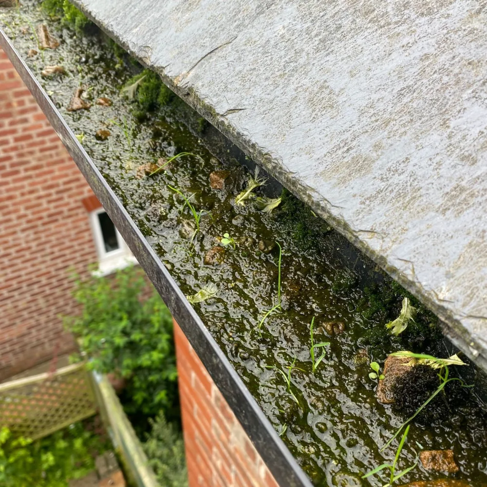 Gutter vacuum clearance example 7 before cleaning