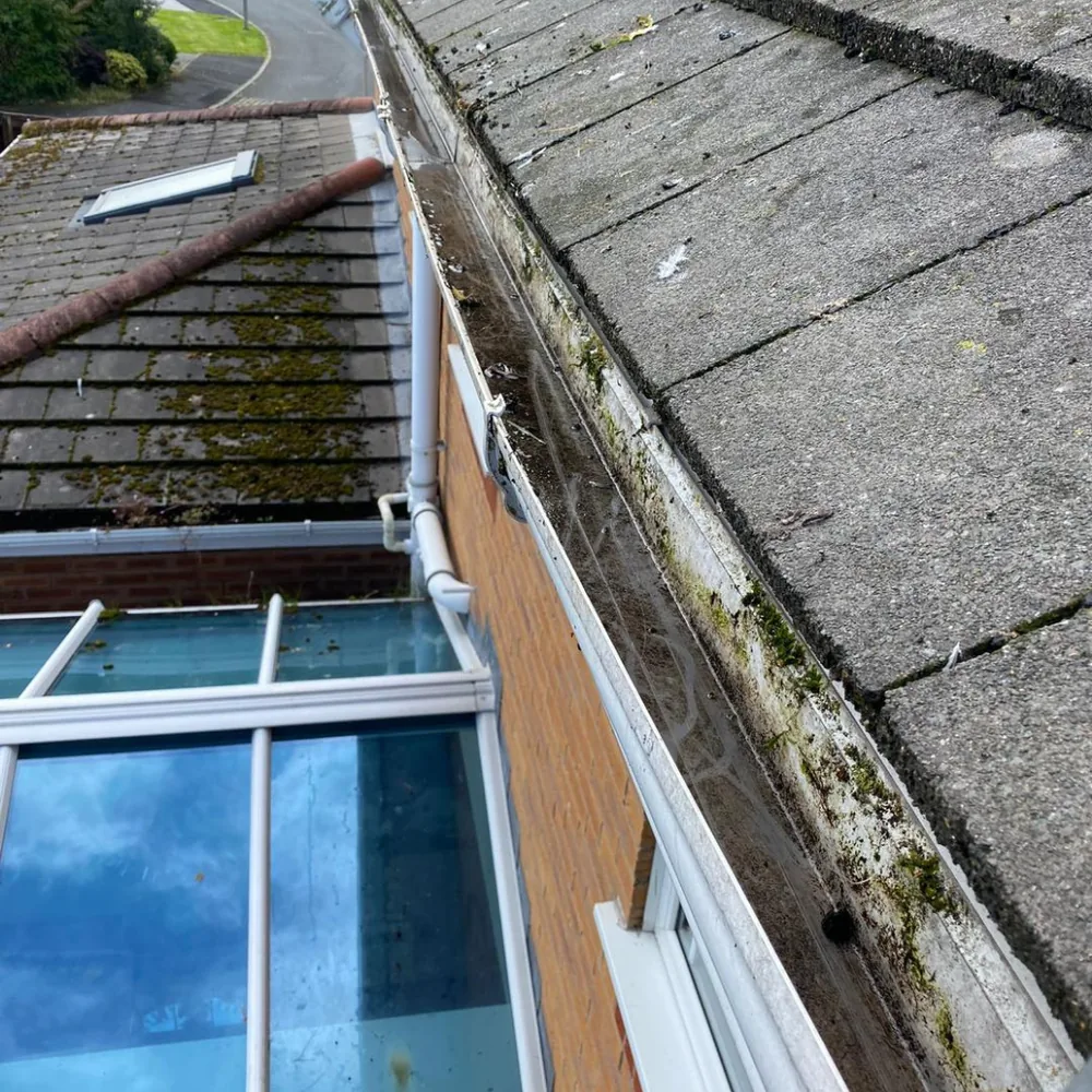 Gutter vacuum clearance after cleaning