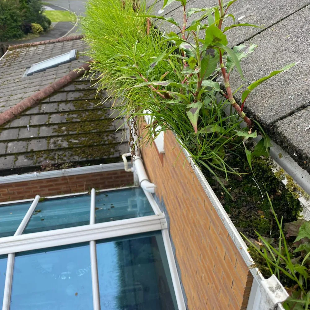 Gutter vacuum clearance before cleaning