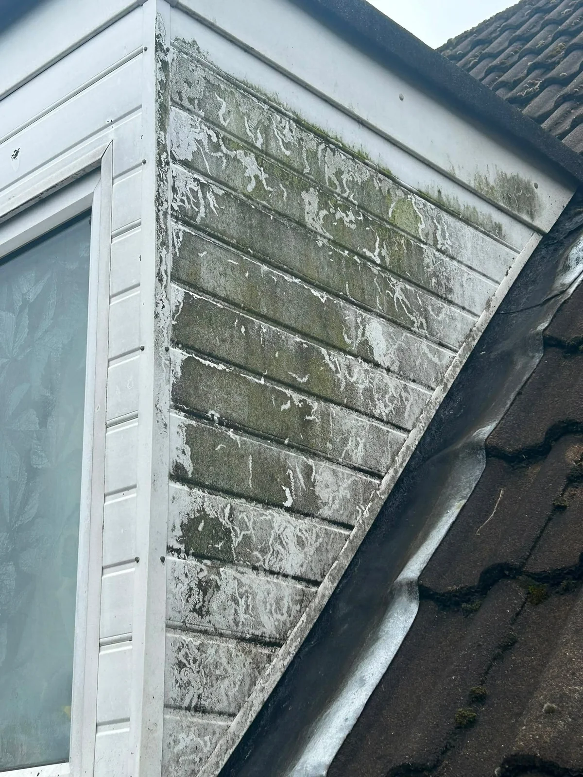 Cladding cleaning example 4 before cleaning